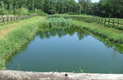 Fitodepurazione e lagunaggio