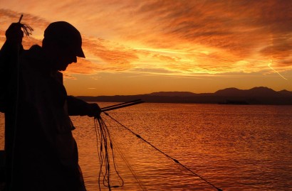 Management of sport fishing or professional fishing