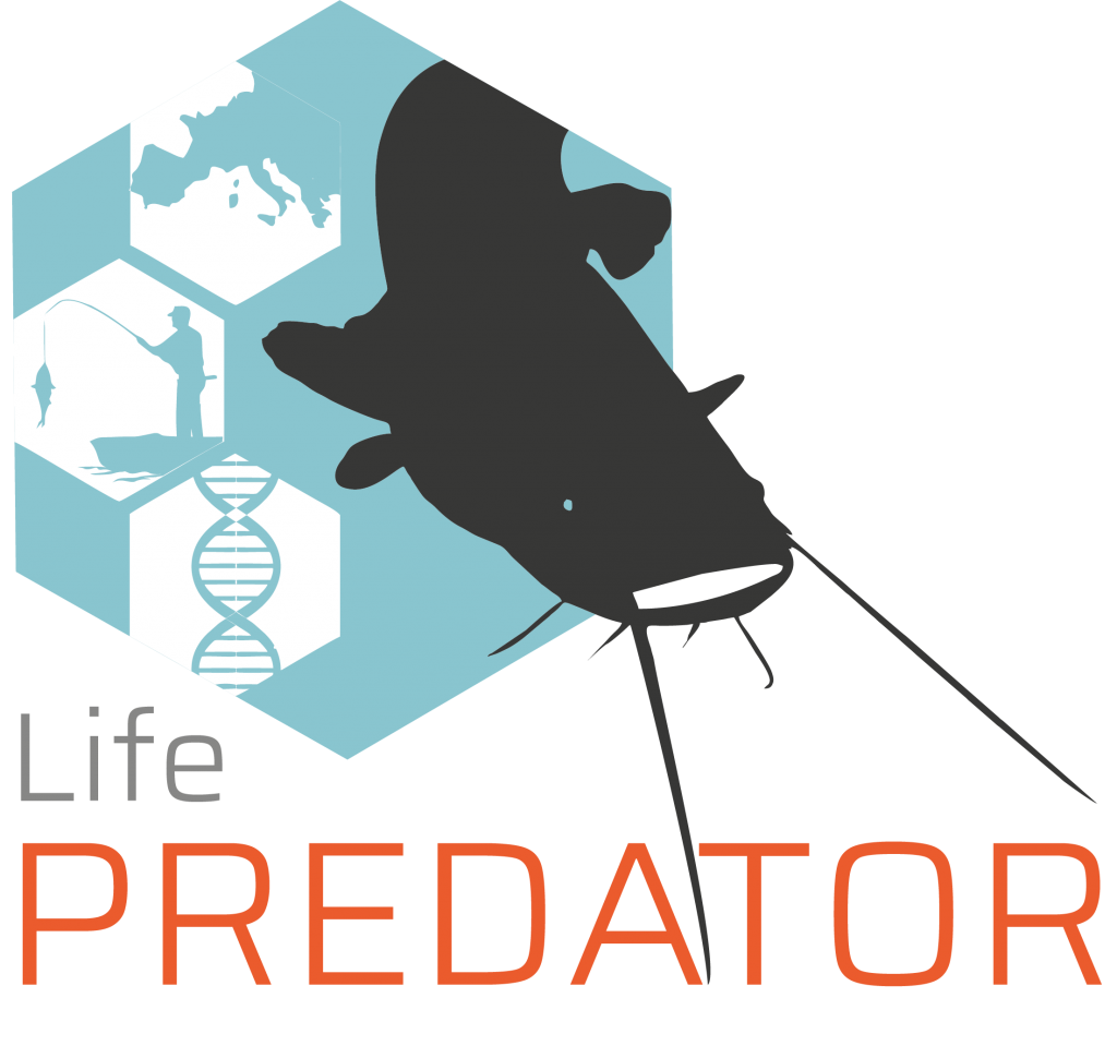 LOGO_PREDATOR 05c