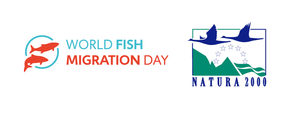 World Fish Migration Day and European Natura 2000 day