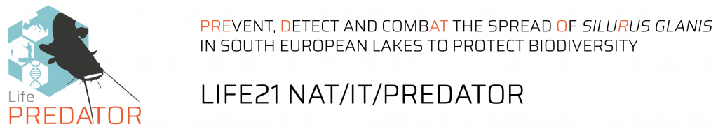 logo predator and title for website